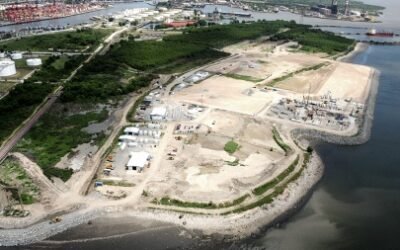 Logran reducir con microalgas la contaminación de metales pesados en el Riachuelo