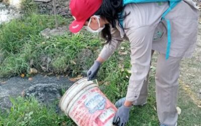 los casos de dengue se cuadruplicaron en los últimos cuatro días