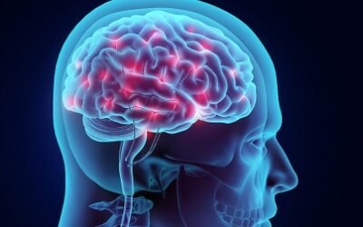 ¿cuáles son los signos de alerta?