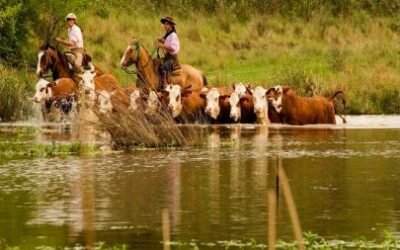 Refuerzan los centros de evacuados por crecidas del río Uruguay en Entre Ríos