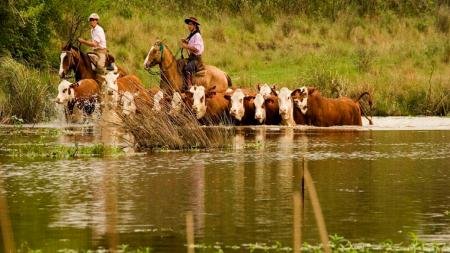 Refuerzan los centros de evacuados por crecidas del río Uruguay en Entre Ríos