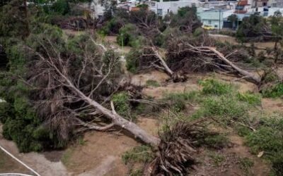 Los expertos del Conicet analizaron el fenómeno climático y sus consecuencias