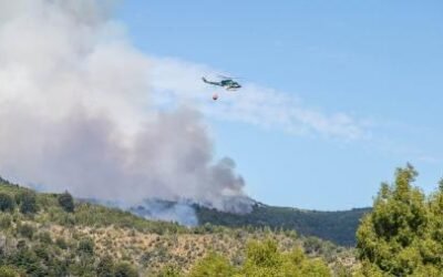 se suman brigadistas para combatir el incendio de los bosques