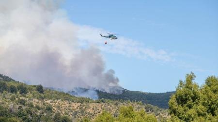 se suman brigadistas para combatir el incendio de los bosques