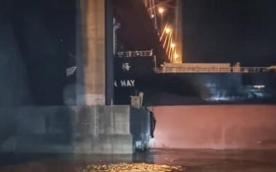 Un barco cerealero embistió una de las columnas del puente Zárate-Brazo Largo