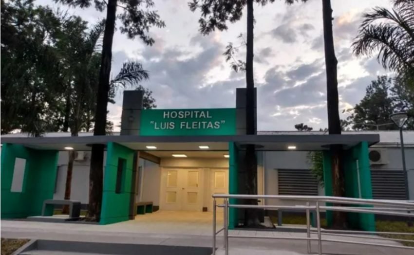 un hombre fue atacado por avispas y murió – Las noticias más importantes de Chaco